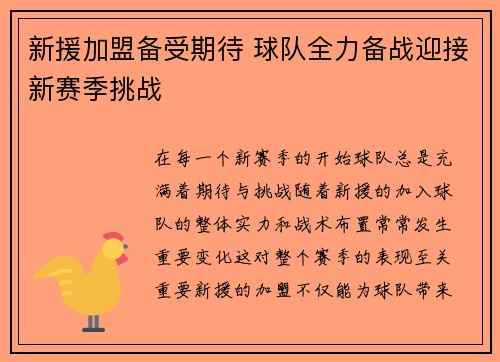 新援加盟备受期待 球队全力备战迎接新赛季挑战
